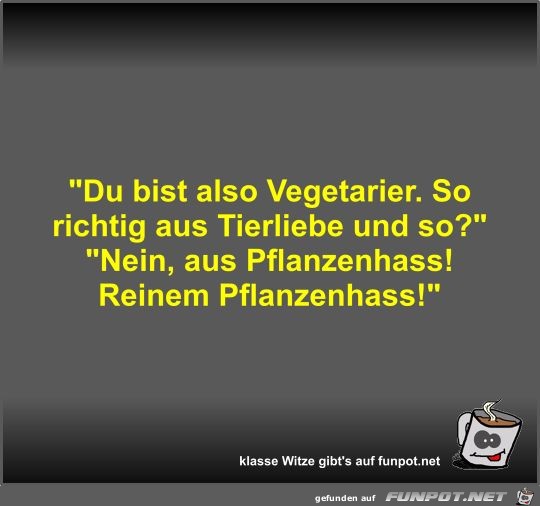 Du bist also Vegetarier