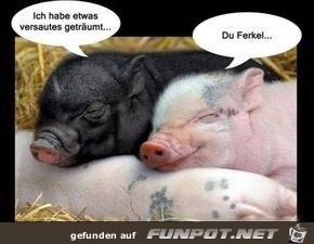 ich habe etwas versautes getraeumt ich habe etwas versautes getraeumt