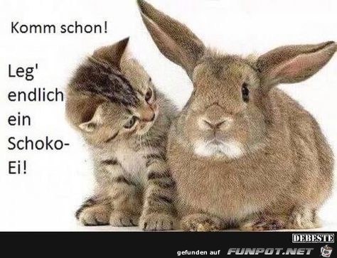 komm schon komm schon