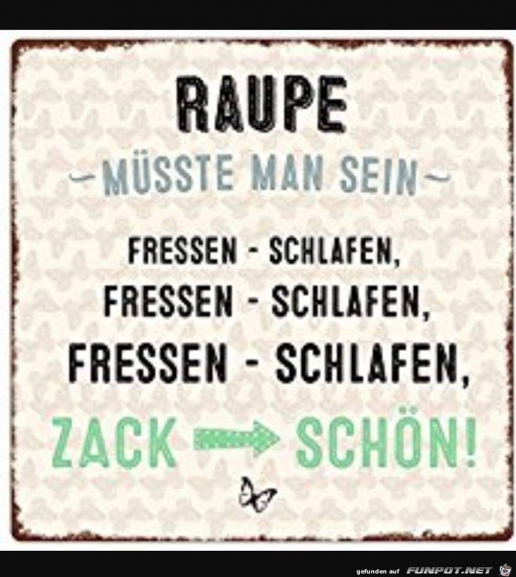 Raupe Raupe