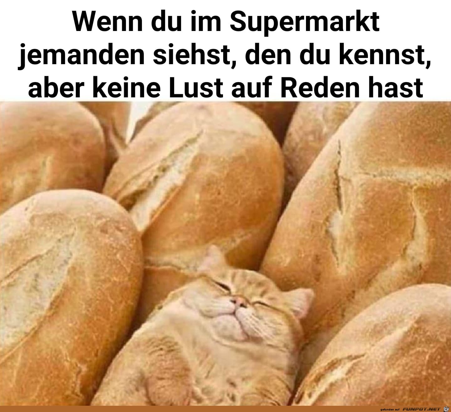 wenn du im supermarkt