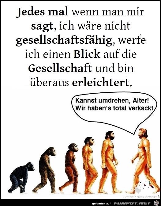 jedes mal wenn man mir sagt jedes mal wenn man mir sagt