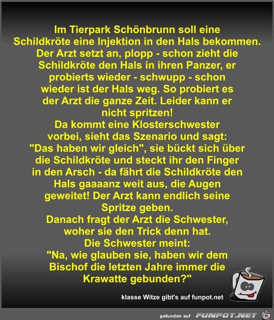 Im Tierpark Schönbrunn soll eine Schildkröte eine Injektion Im Tierpark Schönbrunn soll eine Schildkröte eine Injektion