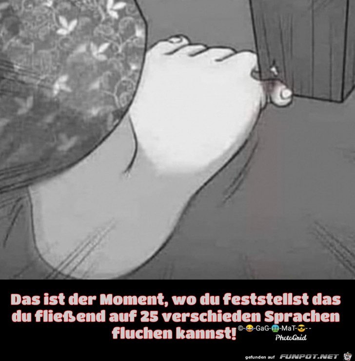 Fremdsprachen-Genie Fremdsprachen-Genie
