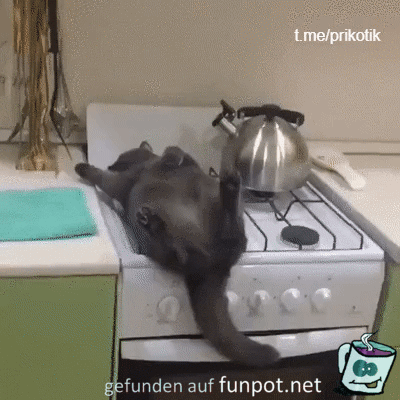 Scheint bequem zu sein Scheint bequem zu sein