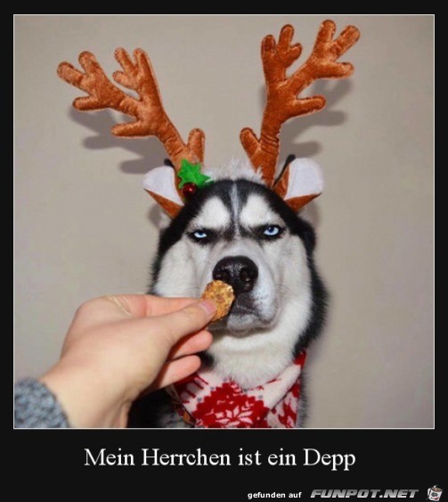 Ein Depp