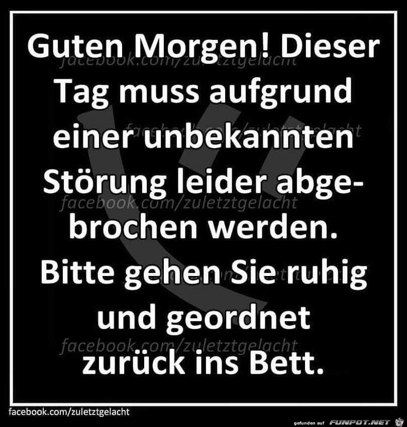 Morgendliche Störung Morgendliche Störung
