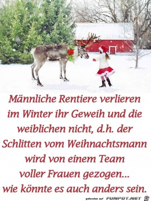 Jetzt wäre das auch geklärt Jetzt wäre das auch geklärt