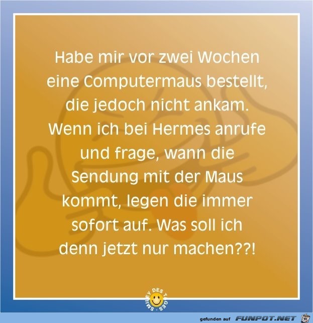 habe mir vor zwei Wochen habe mir vor zwei Wochen