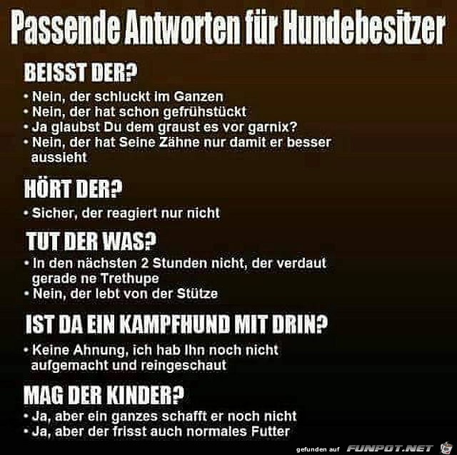 Antworten für alle Hundebesitzer Antworten für alle Hundebesitzer