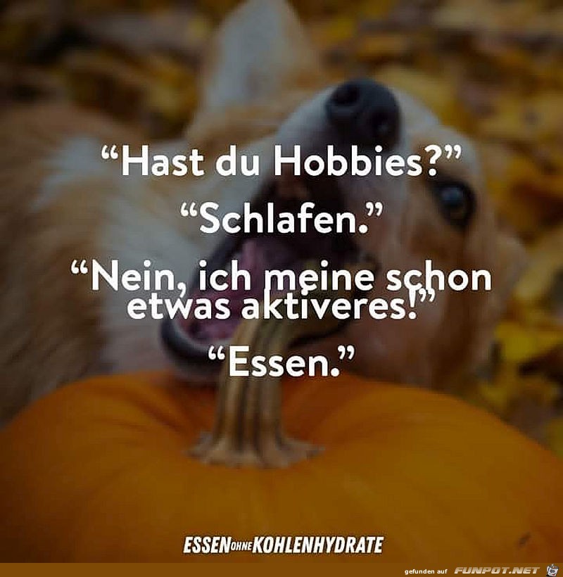 Welche Hobby s hast Du? Welche Hobby s hast Du?