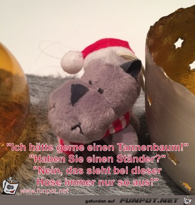 ein Tannenbaum ein Tannenbaum