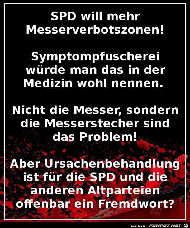 Was die SPD will