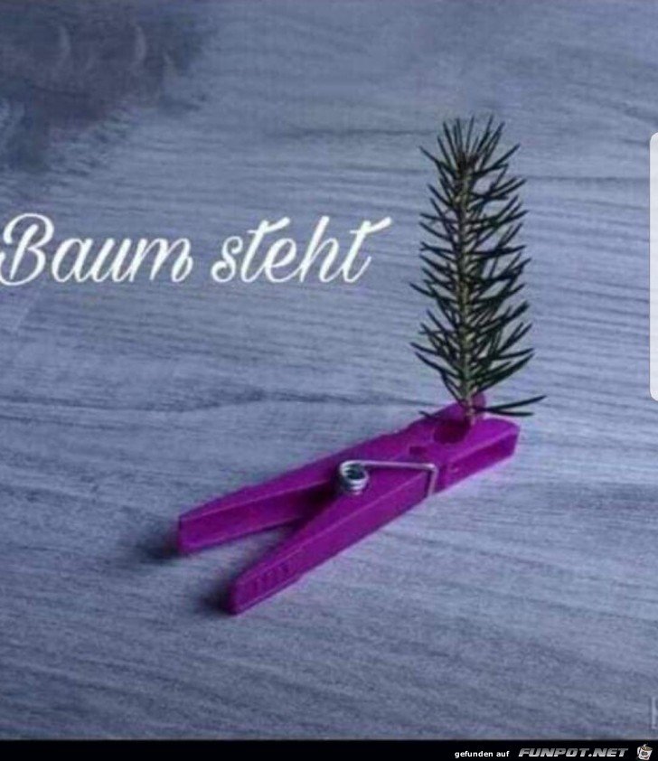Baum Baum