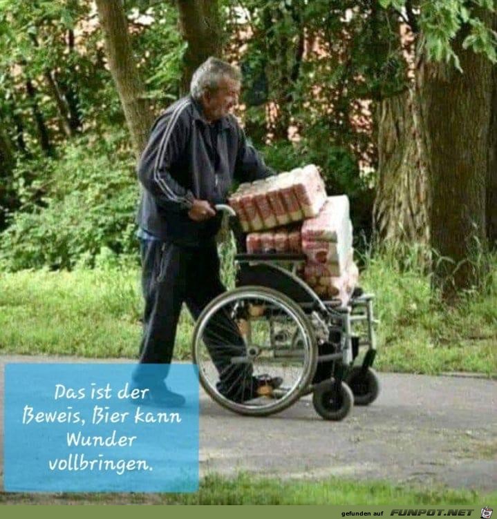 Wunder Wunder