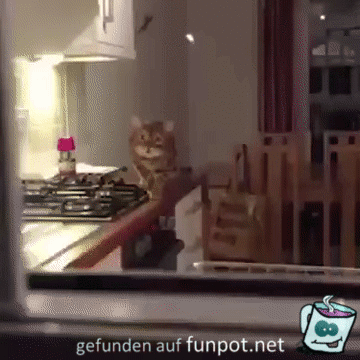 Ich komme Ich komme