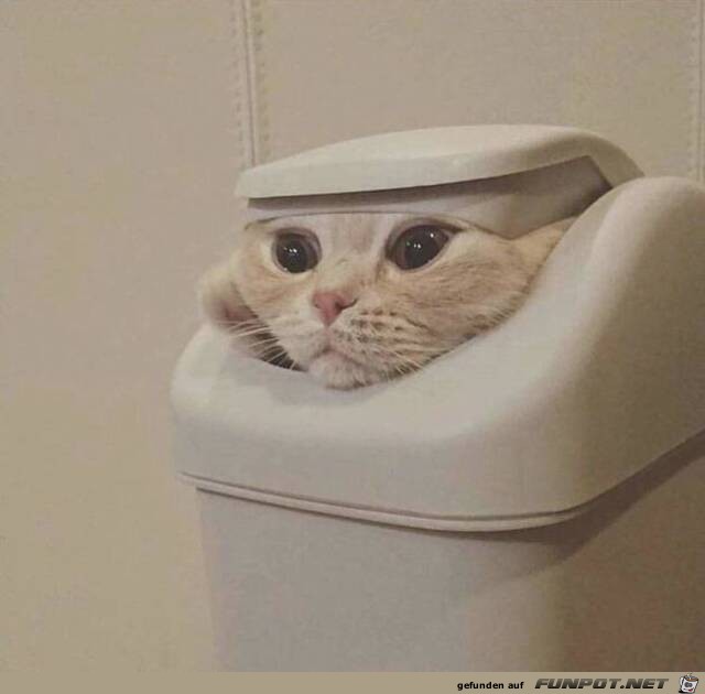 Gutes Versteck Gutes Versteck