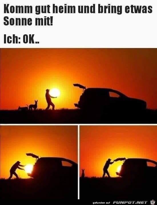 Bring etwas Sonne mit Bring etwas Sonne mit