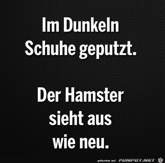 Der arme Hamster