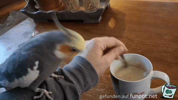 Jetzt rühr schon um Jetzt rühr schon um