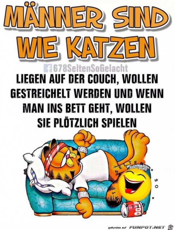Männer sind wie Katzen Männer sind wie Katzen