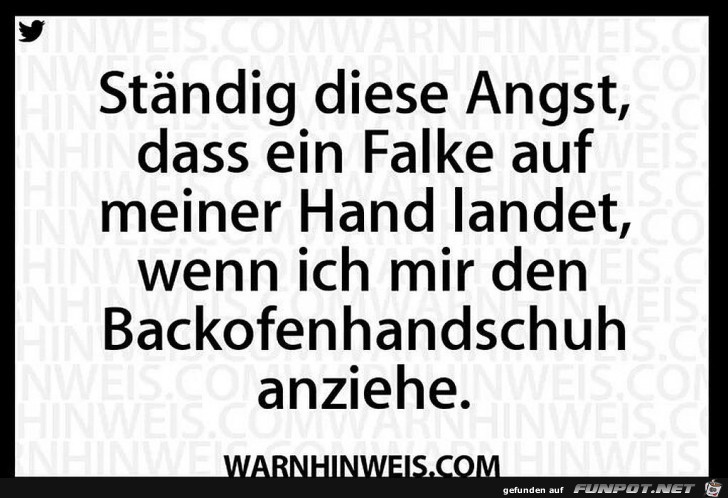 Backofenhandschuh Backofenhandschuh