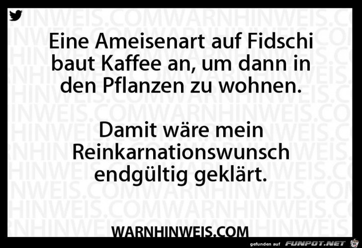 Reinkarnationswunsch Reinkarnationswunsch