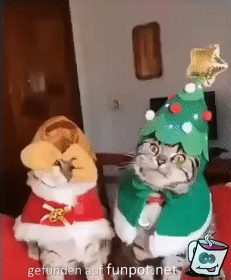 Ganz erstarrt Ganz erstarrt