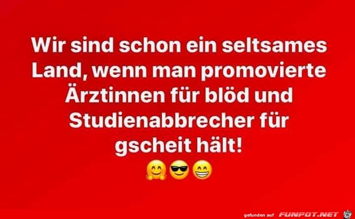 wir sind schon wir sind schon