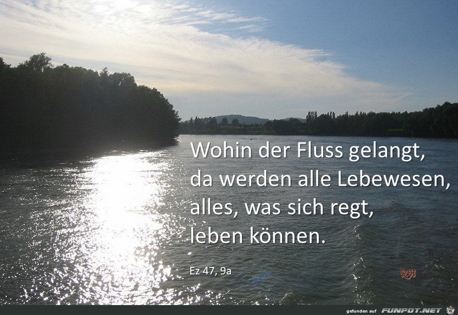 wohin der Fluss gelangt