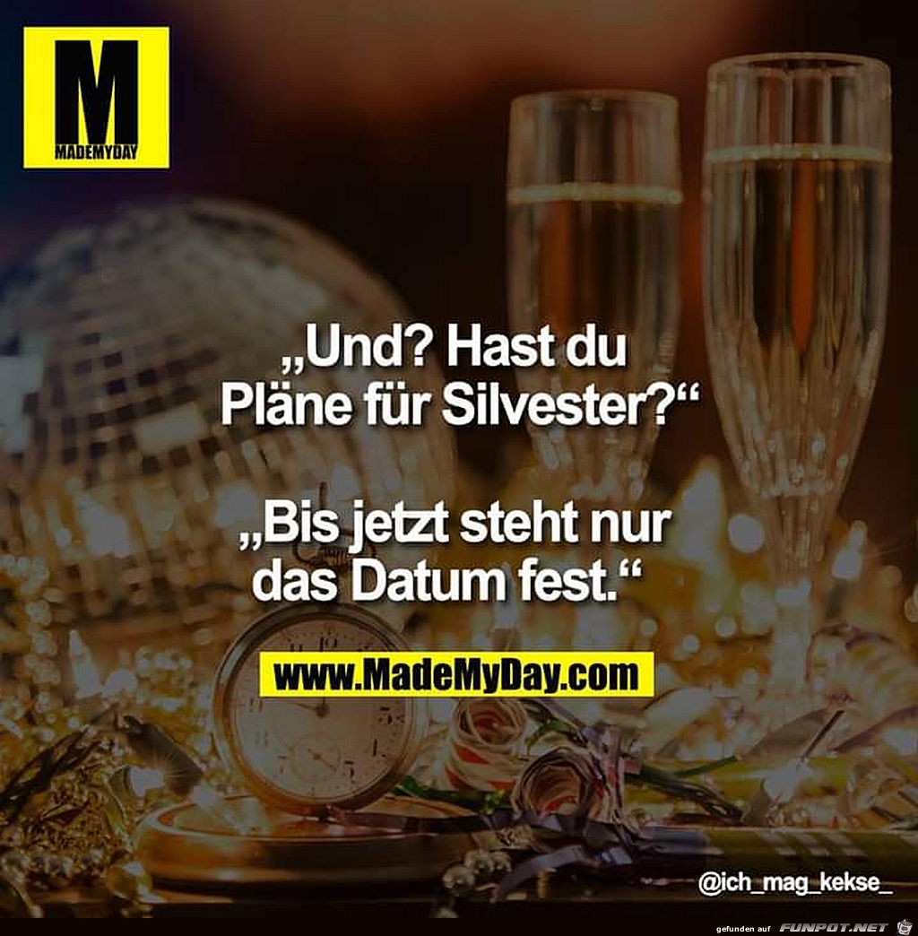 Pläne für Sylvester Pläne für Sylvester