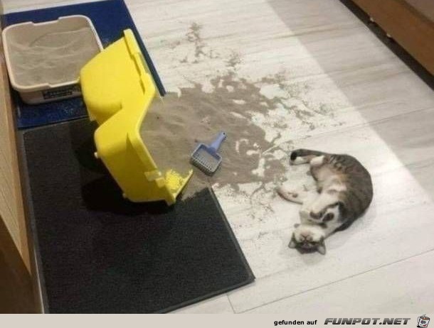 Hat Spaß gemacht Hat Spaß gemacht