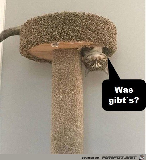 Was gibts?