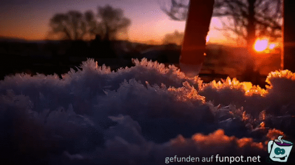 Das sieht stark aus Das sieht stark aus
