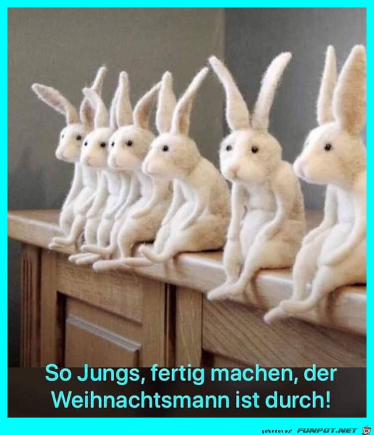 Osterhasen Saison beginnt Osterhasen Saison beginnt