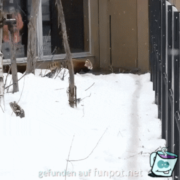 Überholen Überholen