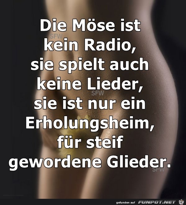 Die Moese... Die Moese...