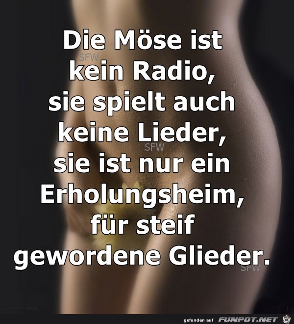 Die Moese...