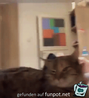 Das tut gut Das tut gut