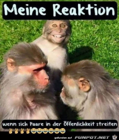 So gucke ich So gucke ich