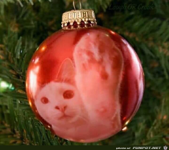 Das Letzte, was eine Weihnachtskugel sieht. Das Letzte, was eine Weihnachtskugel sieht.