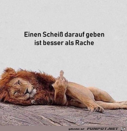 das stimmt das stimmt