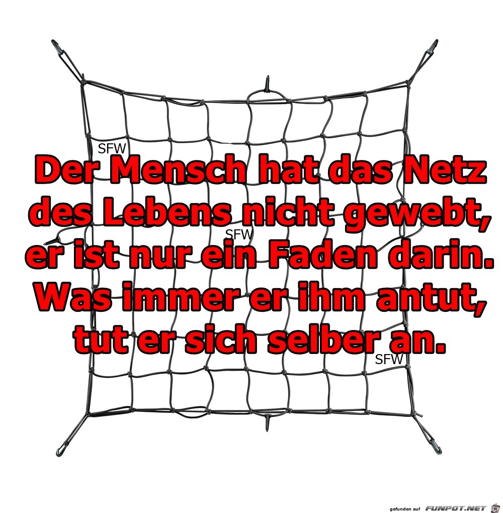 Der Mensch hat Der Mensch hat