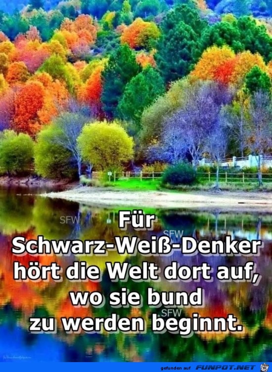 Schwarz-Weiss-Denker Schwarz-Weiss-Denker