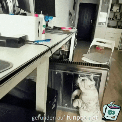 Sauberer Sprung Sauberer Sprung