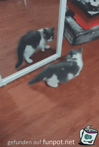 Spiegelbild Spiegelbild