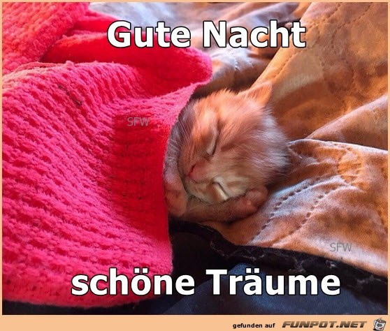 Gute Nacht Gute Nacht