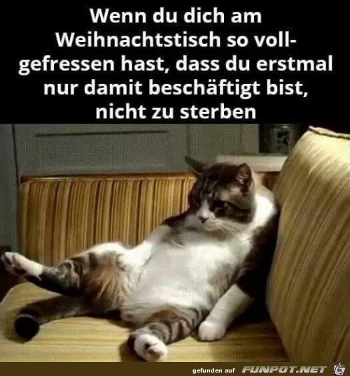 Zu viel gegessen Zu viel gegessen