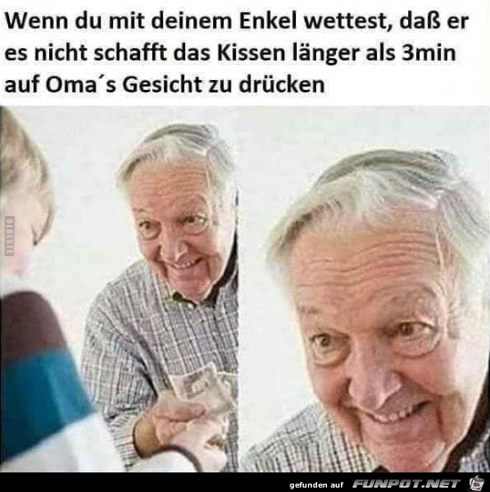 Das Kissen Das Kissen