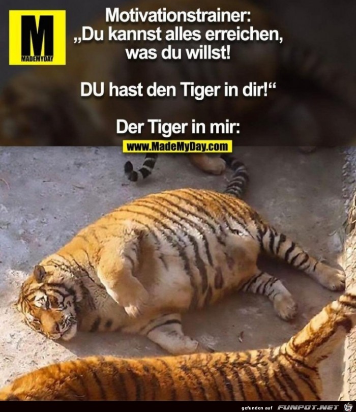 Du hast den Tiger in Dir